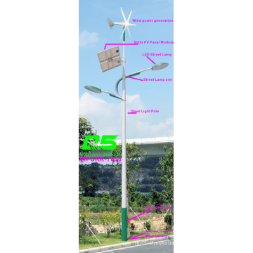 WPSRR-7603 3~15m Municipal Road Hot DIP Galvanized Steet Light Pole style